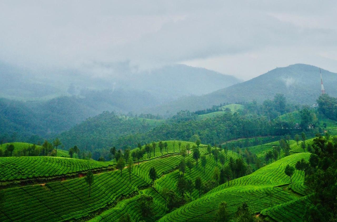 Lockhart Bungalow Munnar - A Cgh Earth Saha Experience ภายนอก รูปภาพ