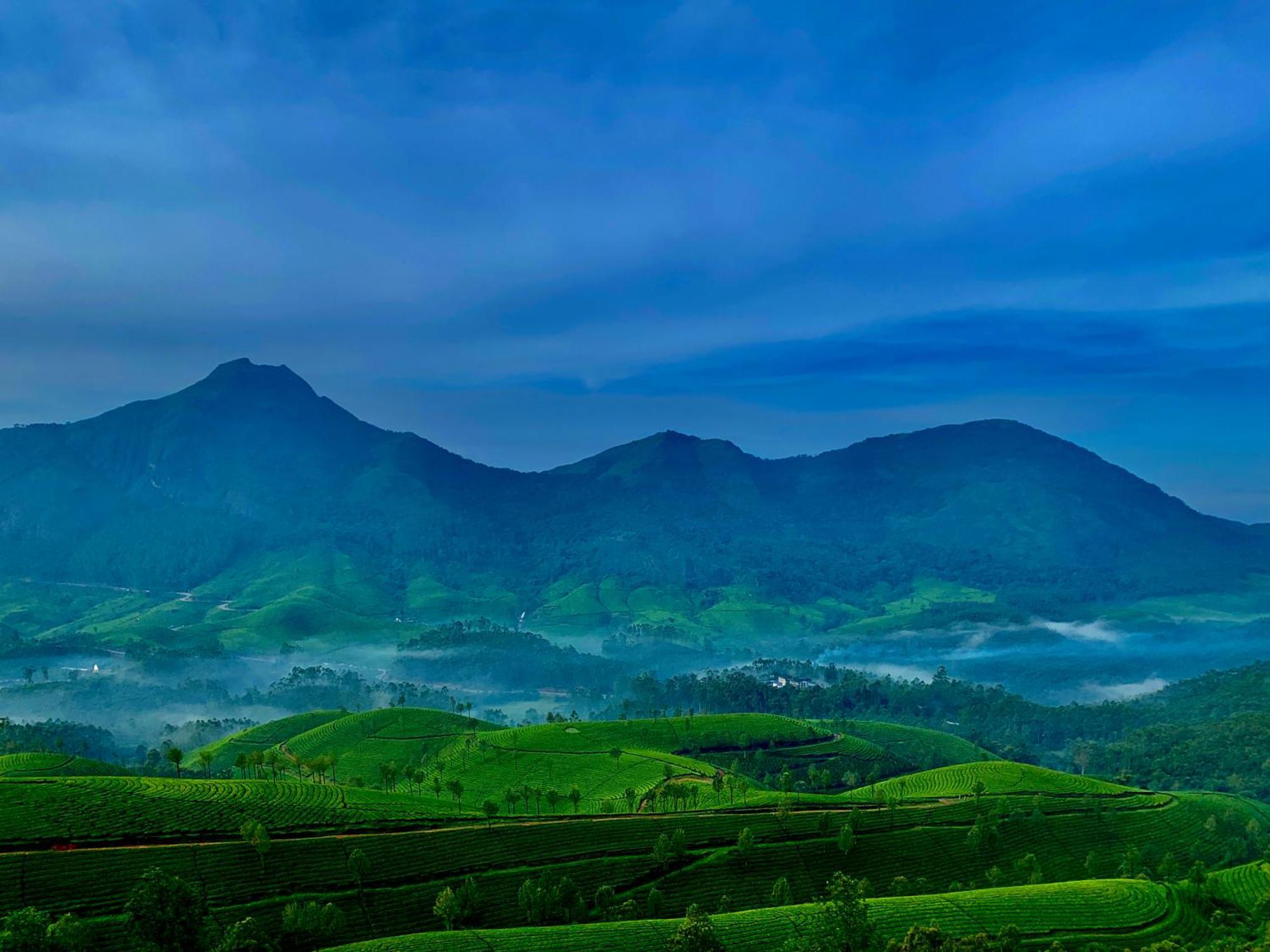 Lockhart Bungalow Munnar - A Cgh Earth Saha Experience ภายนอก รูปภาพ