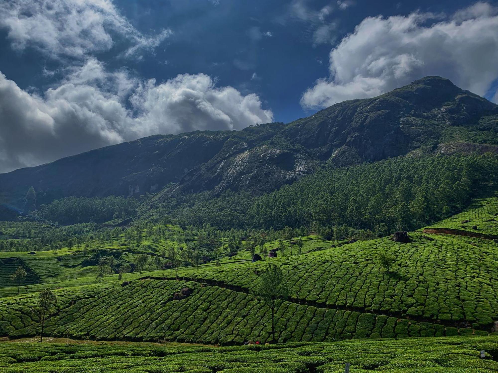 Lockhart Bungalow Munnar - A Cgh Earth Saha Experience ภายนอก รูปภาพ