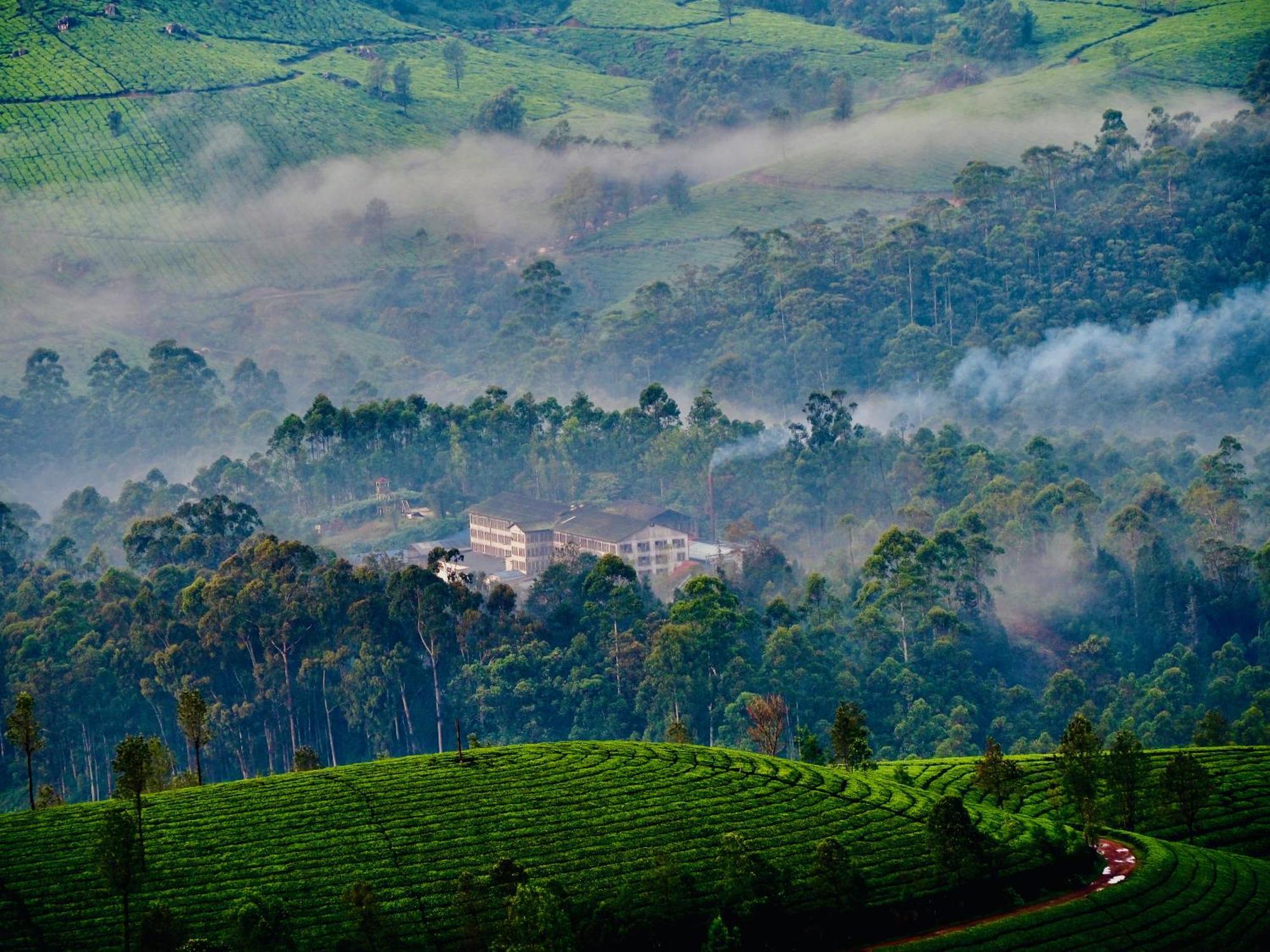 Lockhart Bungalow Munnar - A Cgh Earth Saha Experience ภายนอก รูปภาพ