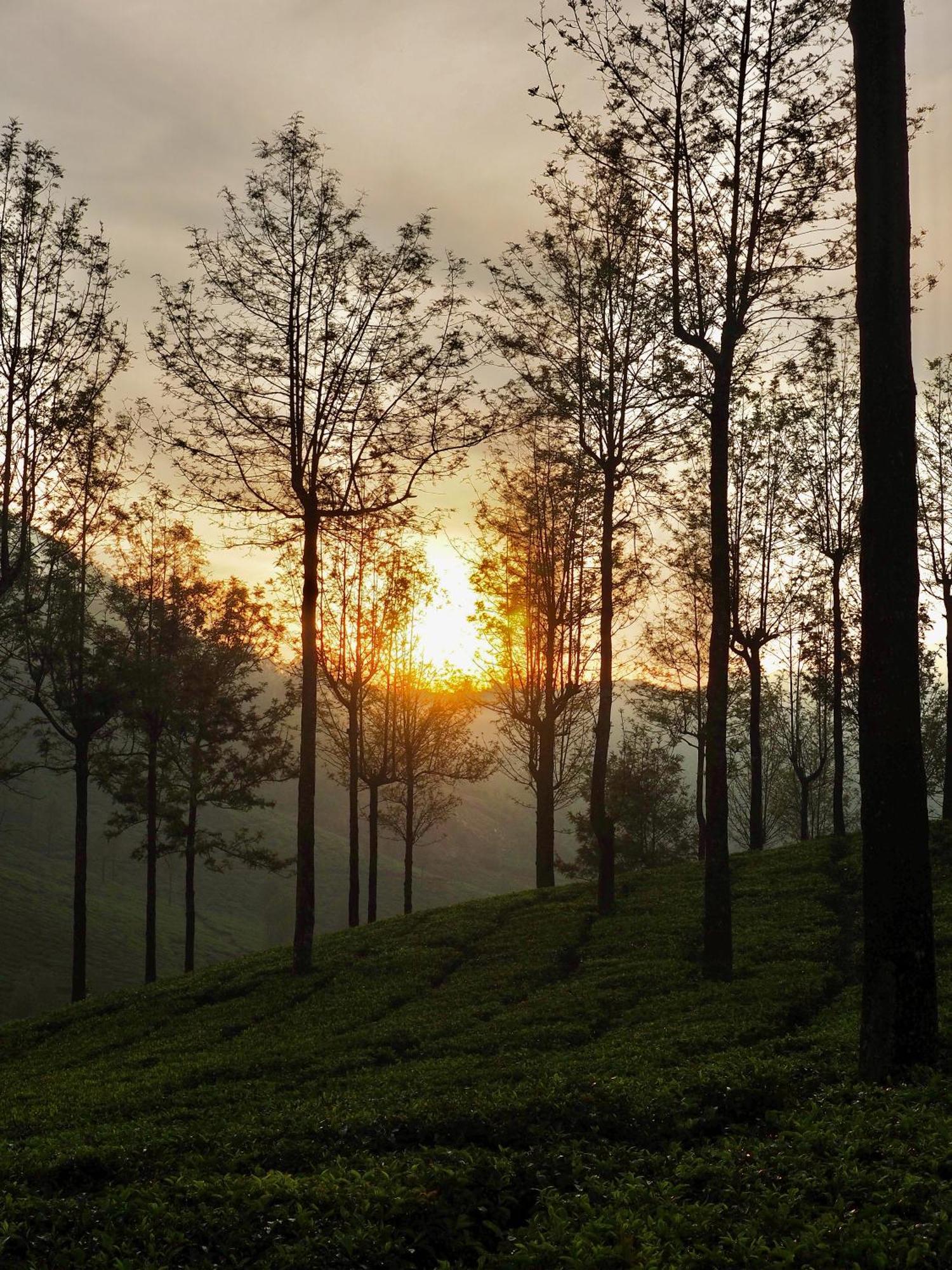 Lockhart Bungalow Munnar - A Cgh Earth Saha Experience ภายนอก รูปภาพ